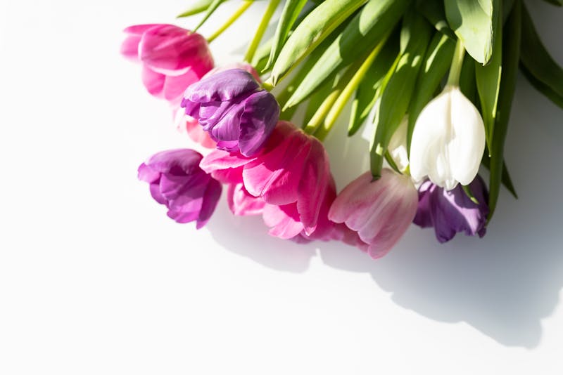 Ramo de tulipanes de colores variados interflora