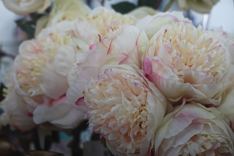 Ramo grande de 50 rosas rojas interflora San Valentín